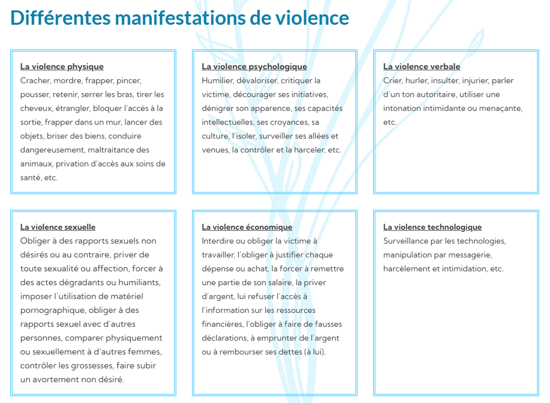 Capture de la page des différentes manifestations de violence de la Maison La Montée
